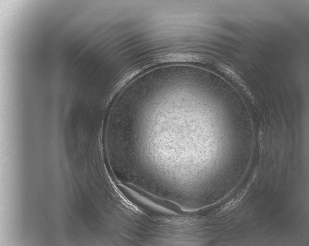 X0000058121033200510071934