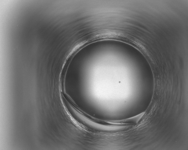 X0000058121034200510071934