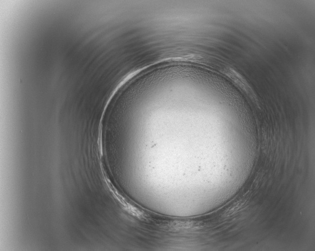 X0000058121036200510071934