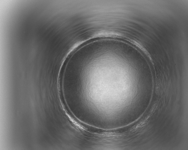 X0000058121037200510071934