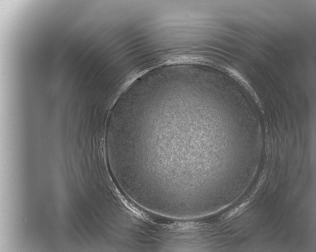 X0000058121041200510071934