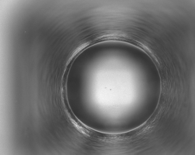 X0000058121042200510071934