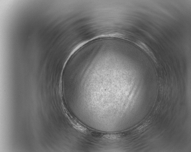 X0000058121044200510071934