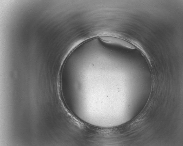 X0000058121048200510071934