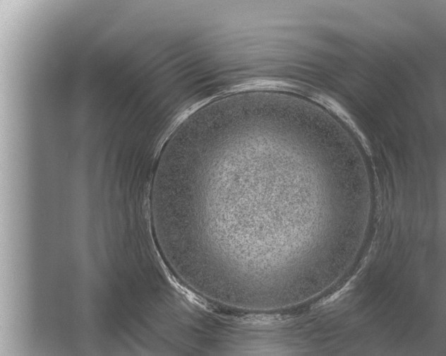 X0000058121049200510071934