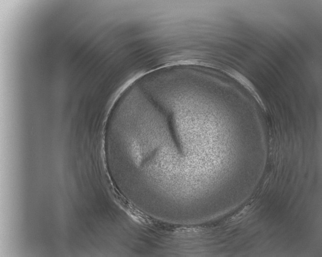 X0000058121051200510071934