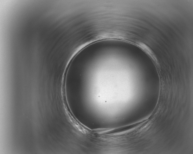 X0000058121052200510071934