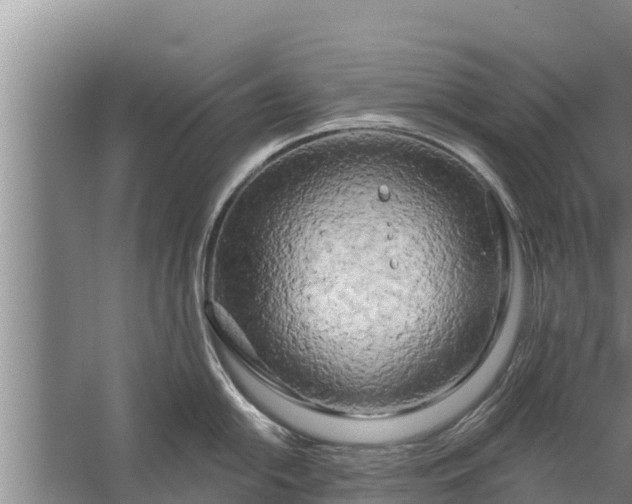 X0000058121054200510071934