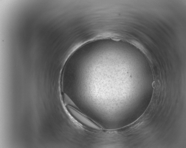 X0000058121055200510071934