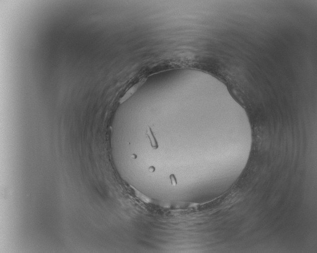 X0000058121057200510071933