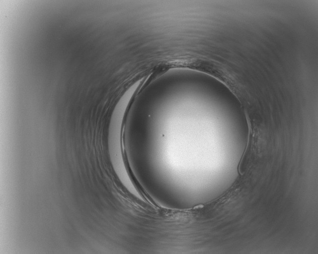 X0000058121058200510071933