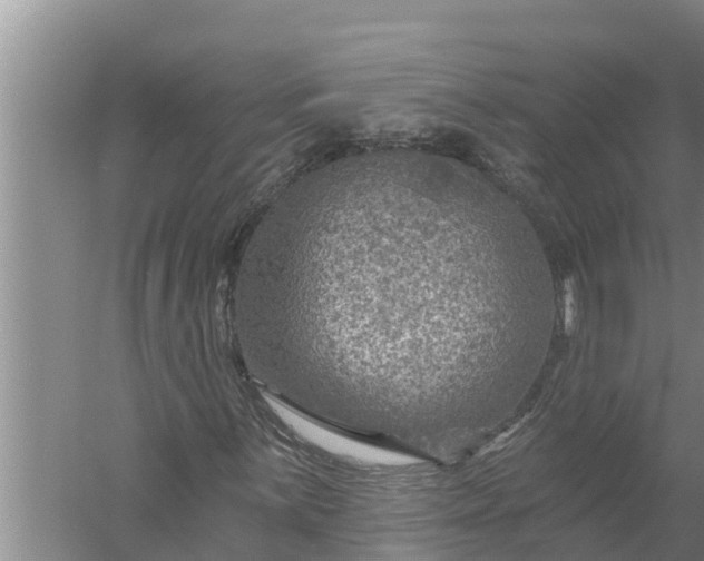 X0000058121059200510071933