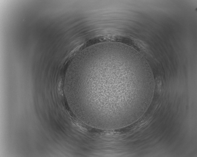 X0000058121060200510071933