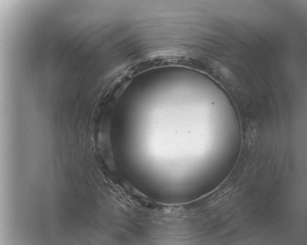 X0000058121062200510071933