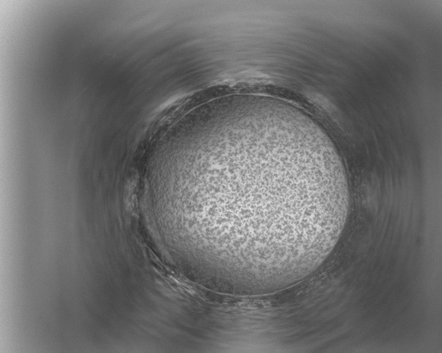 X0000058121063200510071933