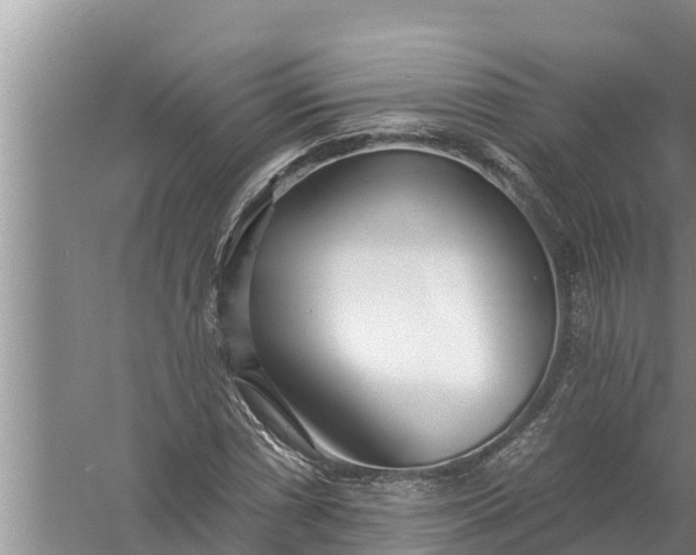 X0000058121066200510071933