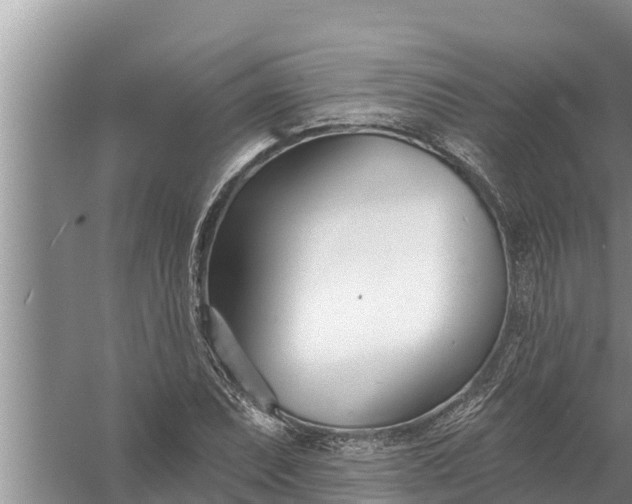 X0000058121071200510071933