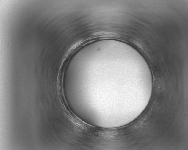 X0000058121074200510071933