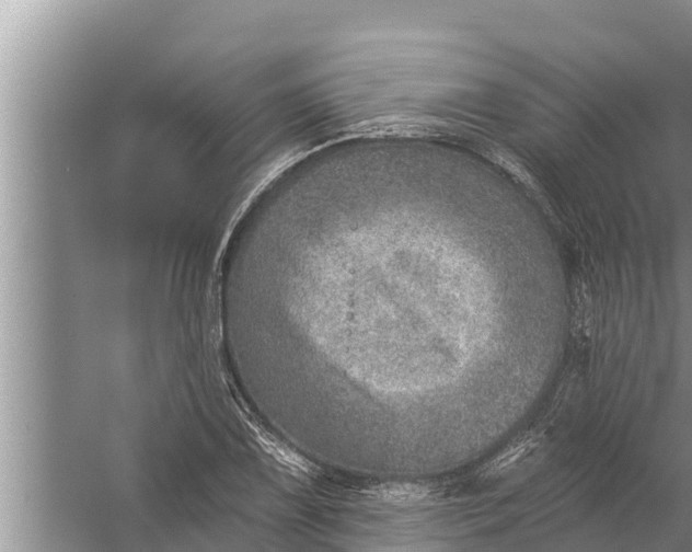 X0000058121075200510071933