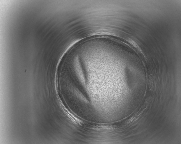 X0000058121076200510071933