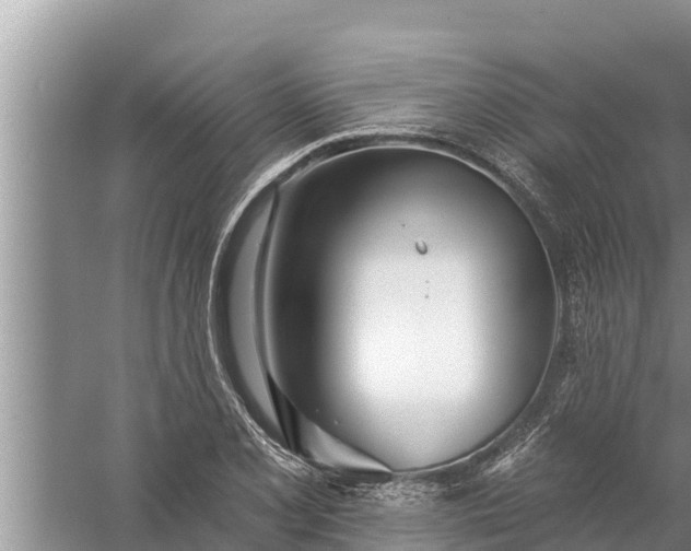 X0000058121077200510071933