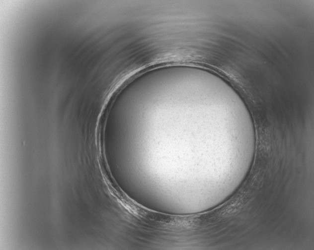 X0000058121078200510071933