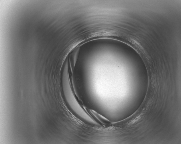 X0000058121081200510071933