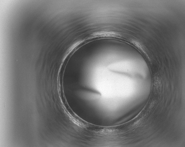 X0000058121082200510071933