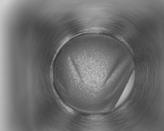 X0000058121083200510071933