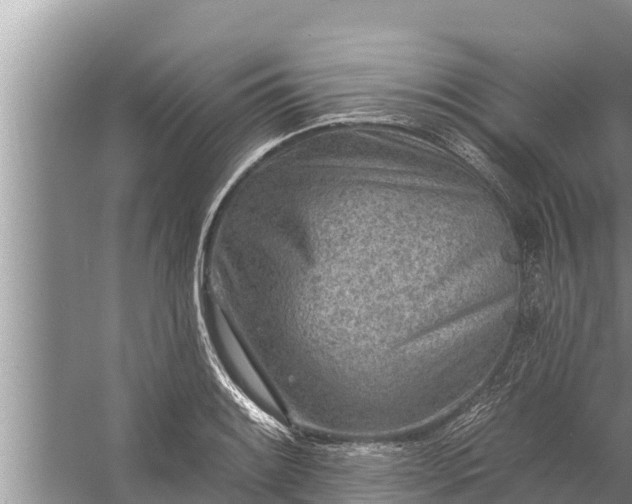 X0000058121084200510071933