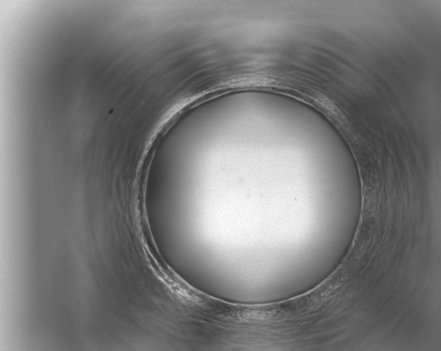 X0000058121086200510071933