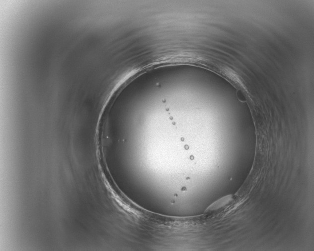 X0000058121087200510071933