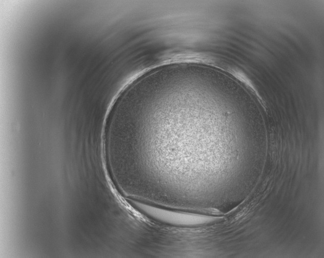 X0000058121088200510071933