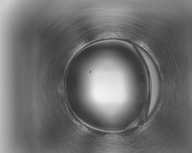 X0000058121089200510071933