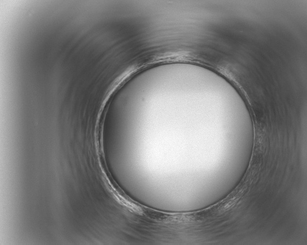 X0000058121090200510071933