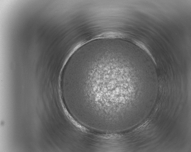 X0000058121091200510071933