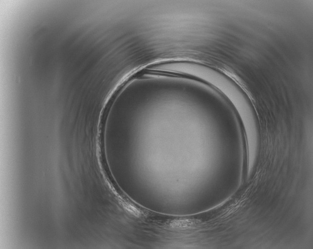 X0000058121093200510071933