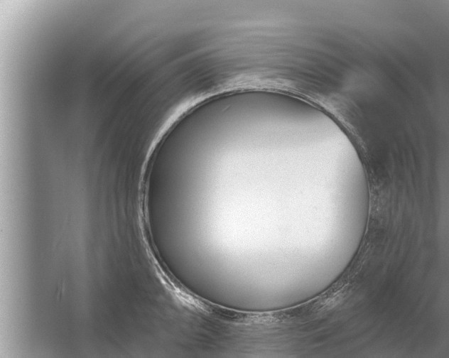 X0000058121094200510071933