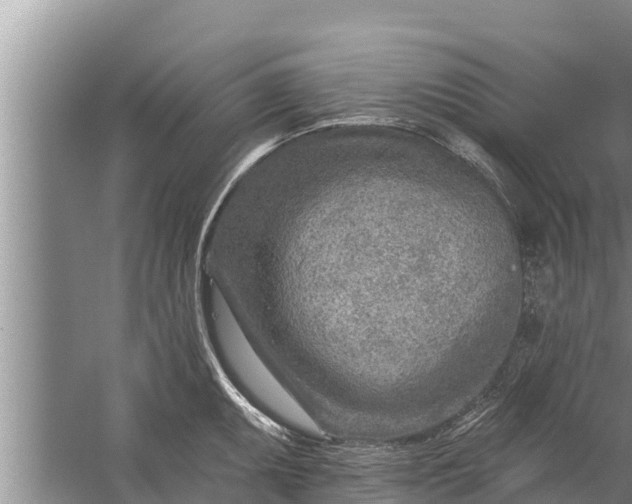 X0000058121095200510071933