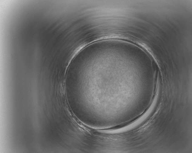 X0000058121097200510071933