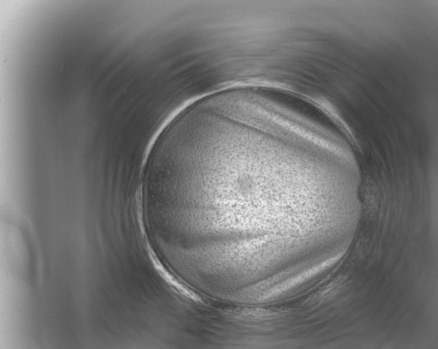 X0000058121100200510071933