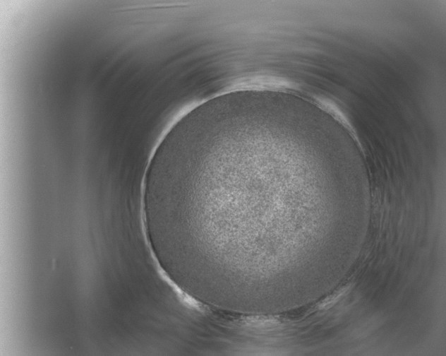 X0000058121103200510071933