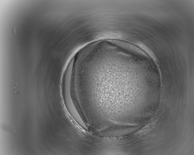 X0000058121104200510071932