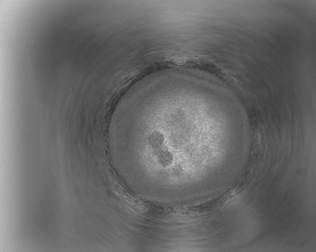 X0000058121105200510071932