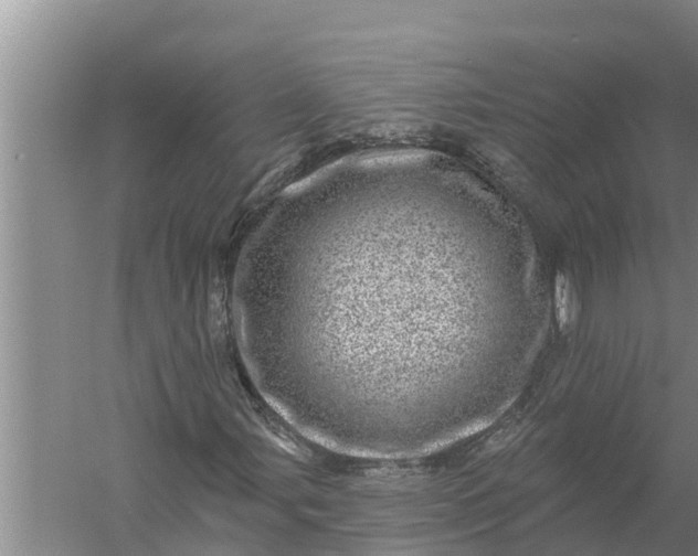 X0000058121107200510071932