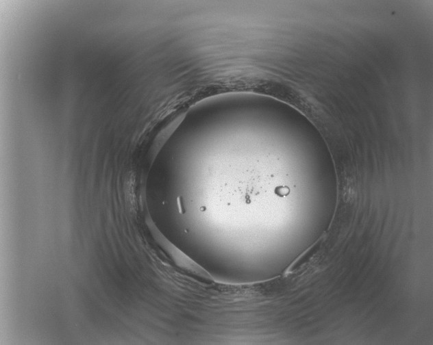 X0000058121108200510071932