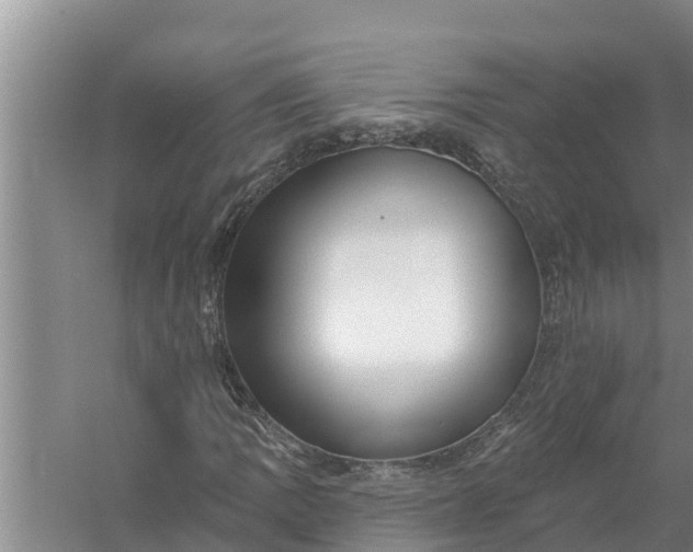 X0000058121109200510071932