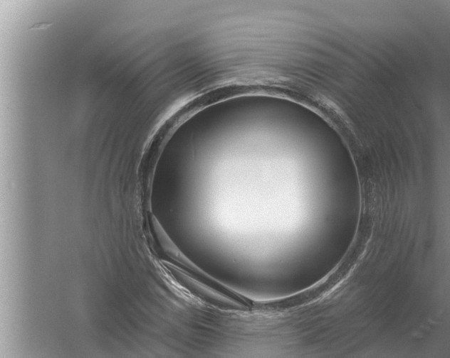 X0000058121114200510071932