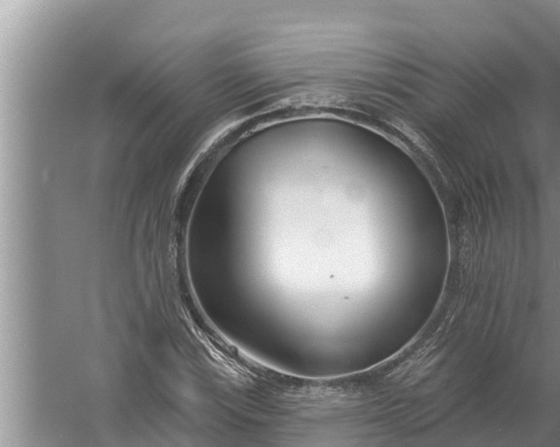 X0000058121115200510071932