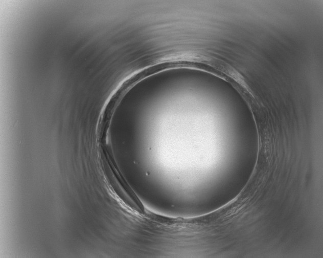 X0000058121116200510071932